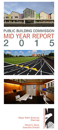 2015 Mid Year Report